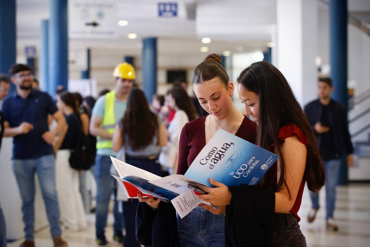 Dos jóvenes miran la información sobre las carreras de la UCO.