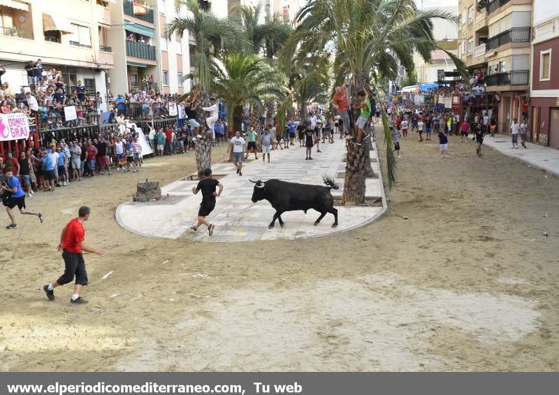 Peñas y toro.