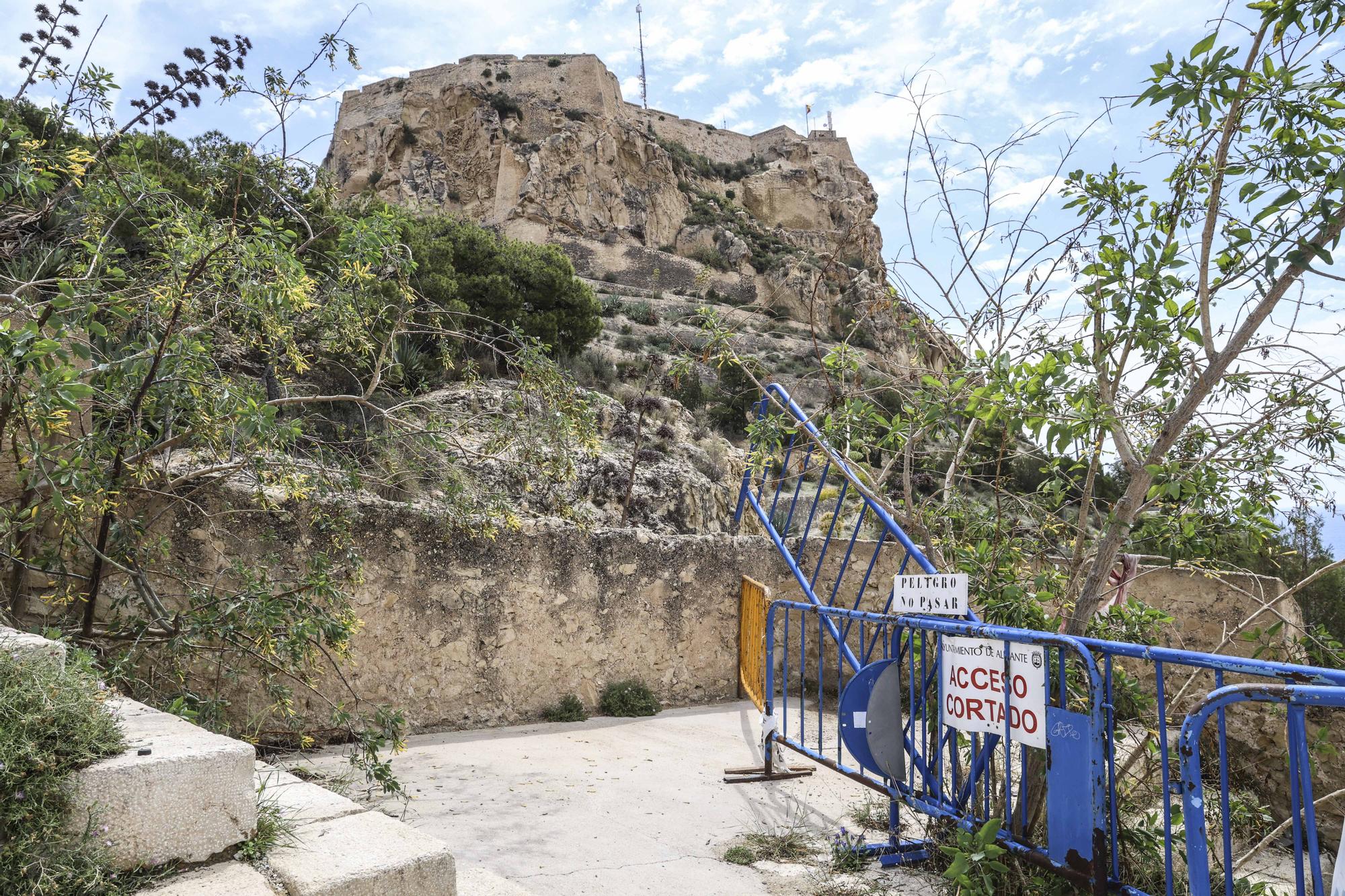 Mal estado de la muralla del Castillo de Santa Bárbara de Alicante