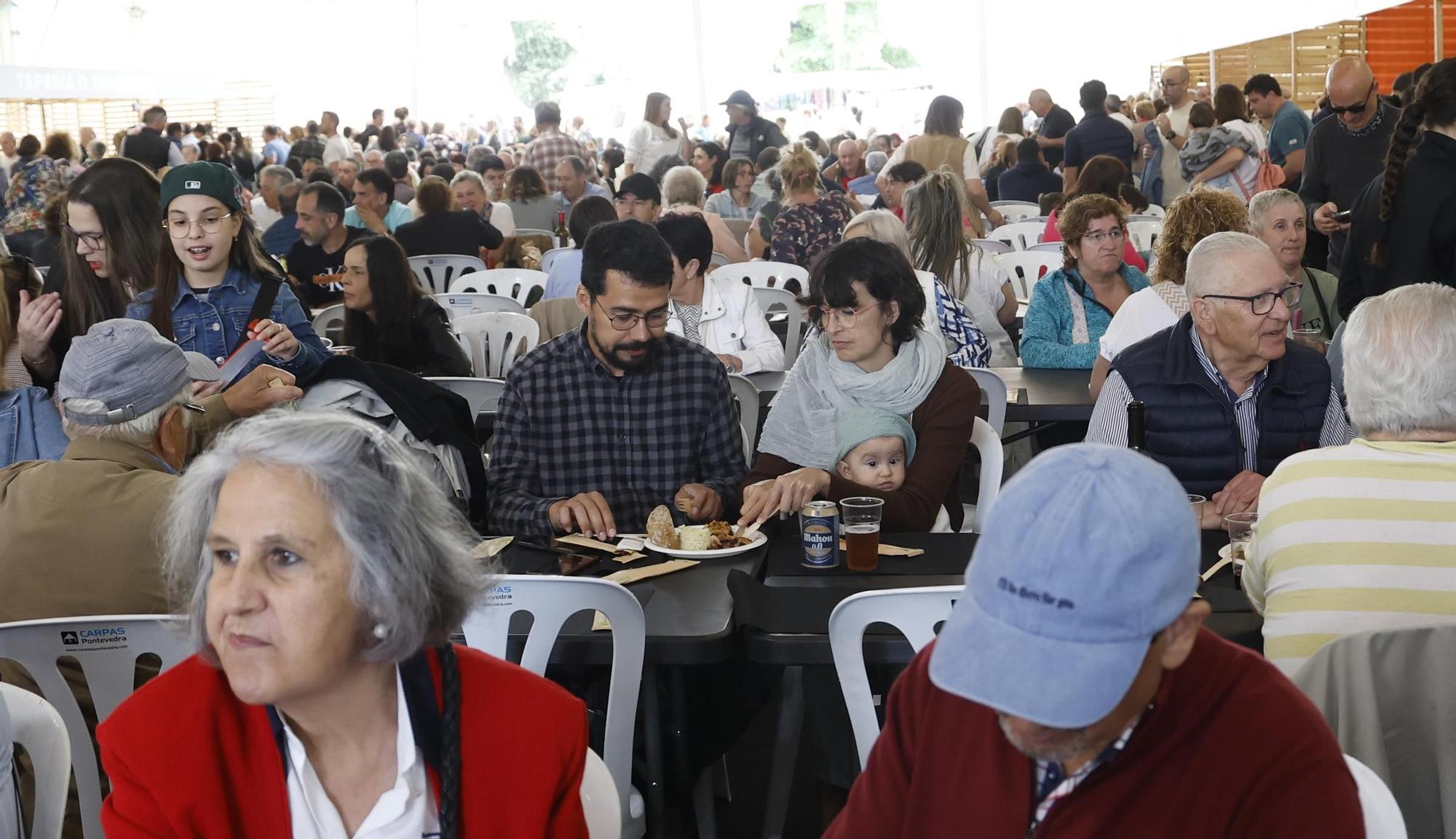 A Festa do Choco triunfa en Redondela