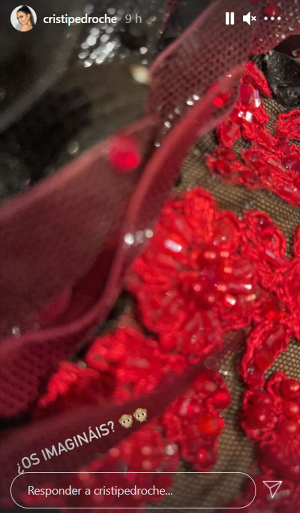 Detalle del vestido de Cristina Pedroche