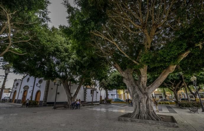 26/11/2017 SAN LORENZO, LAS PALMAS DE GRAN CANARIA.  Pueblo de San Lorezno. FOTO: J. PEREZ CURBELO