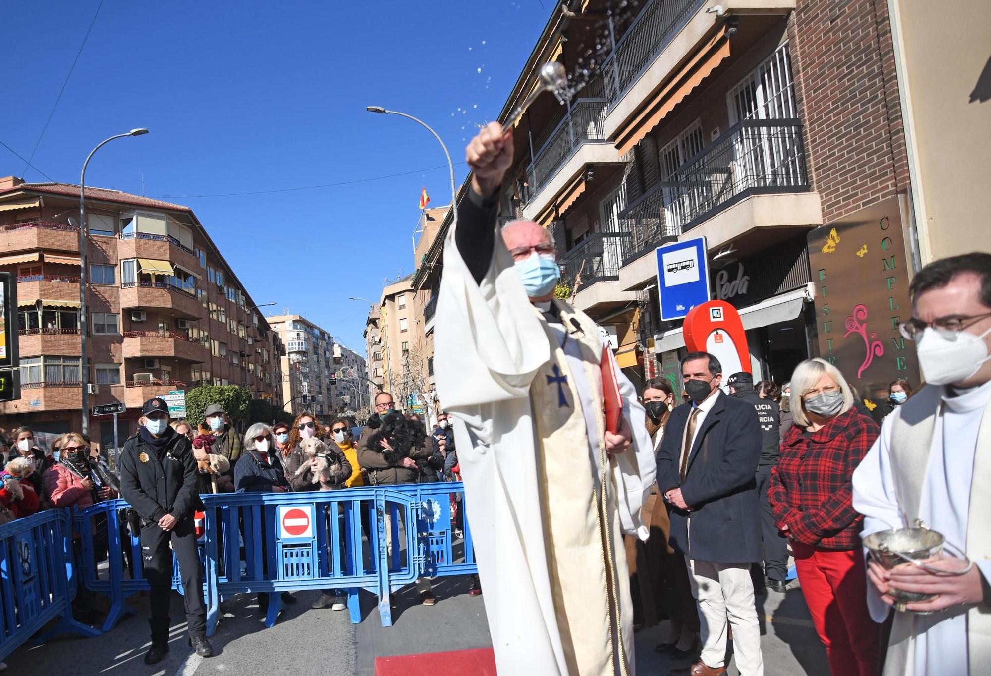 Las mascotas reciben su bendición por San Antón en Murcia (II)