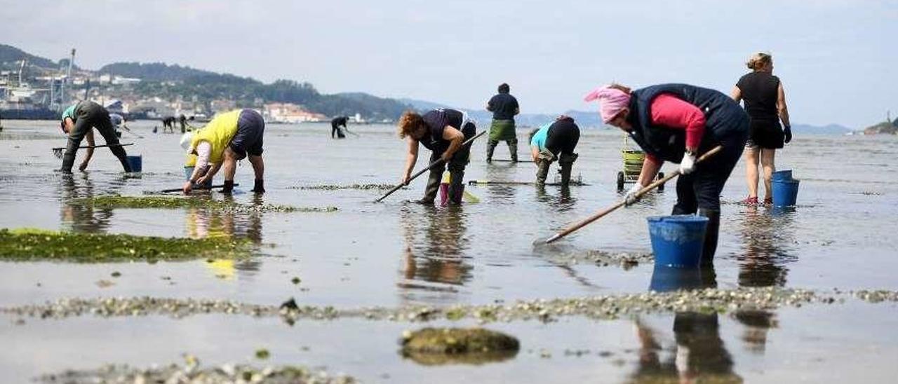 Mariscadoras a pie en la zona de Lourido. // Gustavo Santos