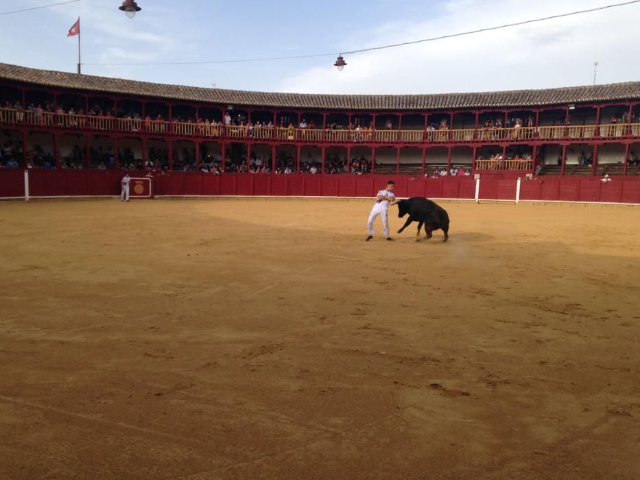 Fiestas Toro- concurso de jóvenes cortadores