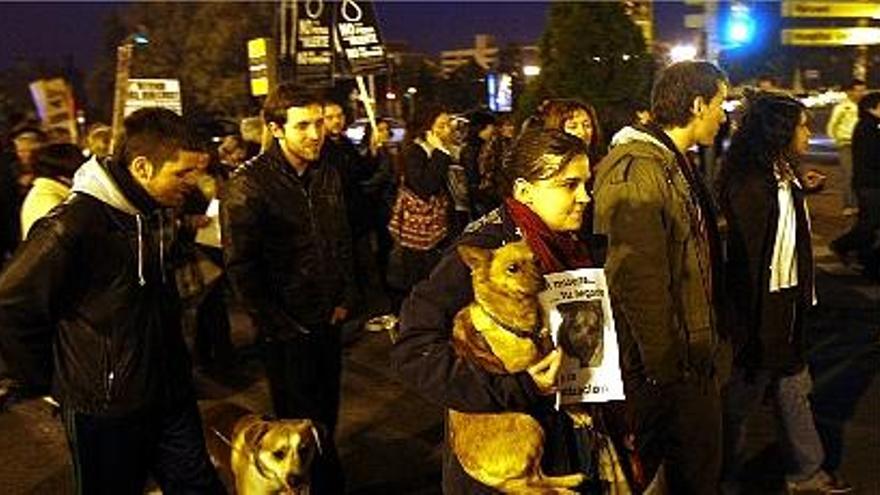 Los manifestantes pasearon ayer por Valencia con sus mascotas.