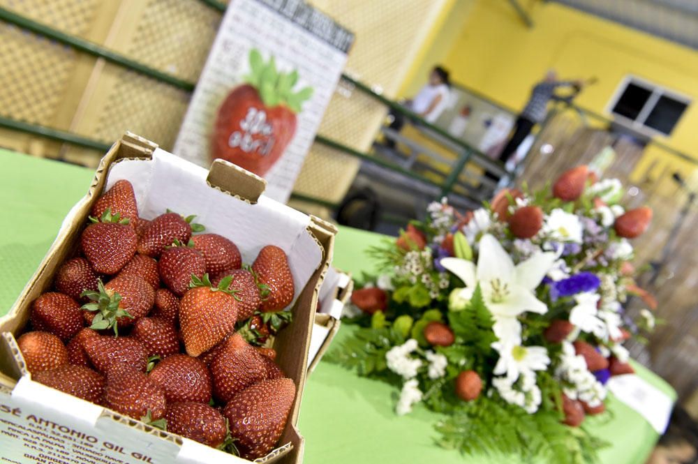 Feria de la fresa de Valsequillo, 2017