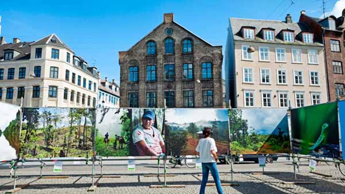 Exposición callejera en la plaza Hans Torv