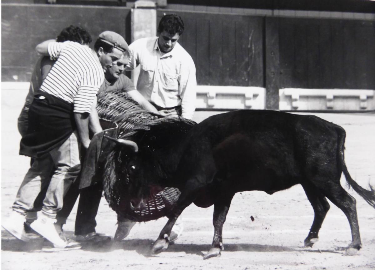 Los festejos taurinos