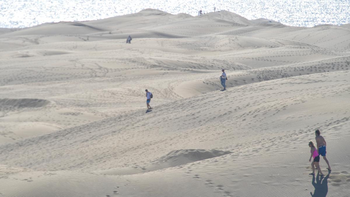 Vista parcial de las Dunas de Maspalomas.