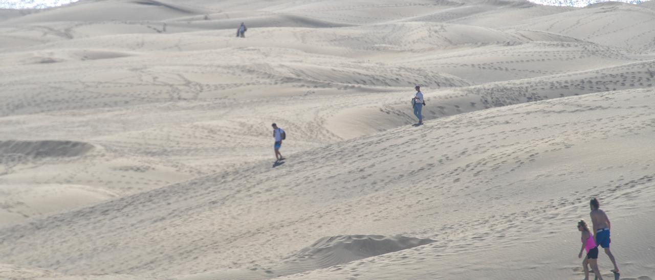 Vista parcial de las Dunas de Maspalomas.