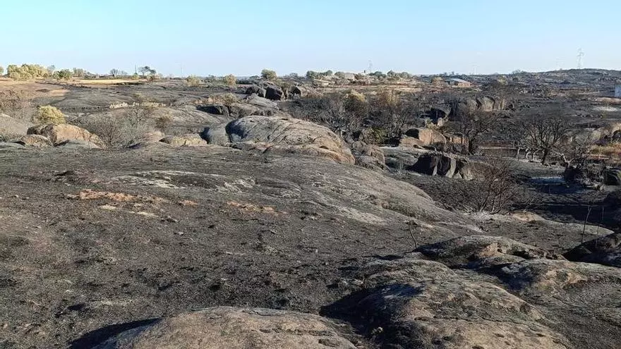 VÍDEO | Los cazadores de Fermoselle alimentan a los animales tras el incendio