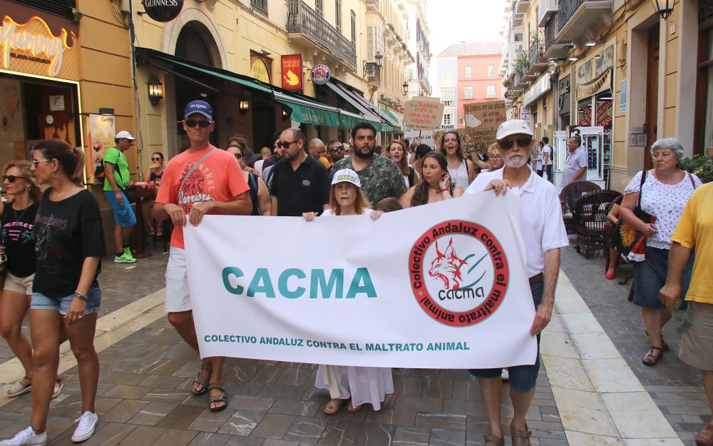 Centenares de personas se unen en Málaga contra la tauromaquia