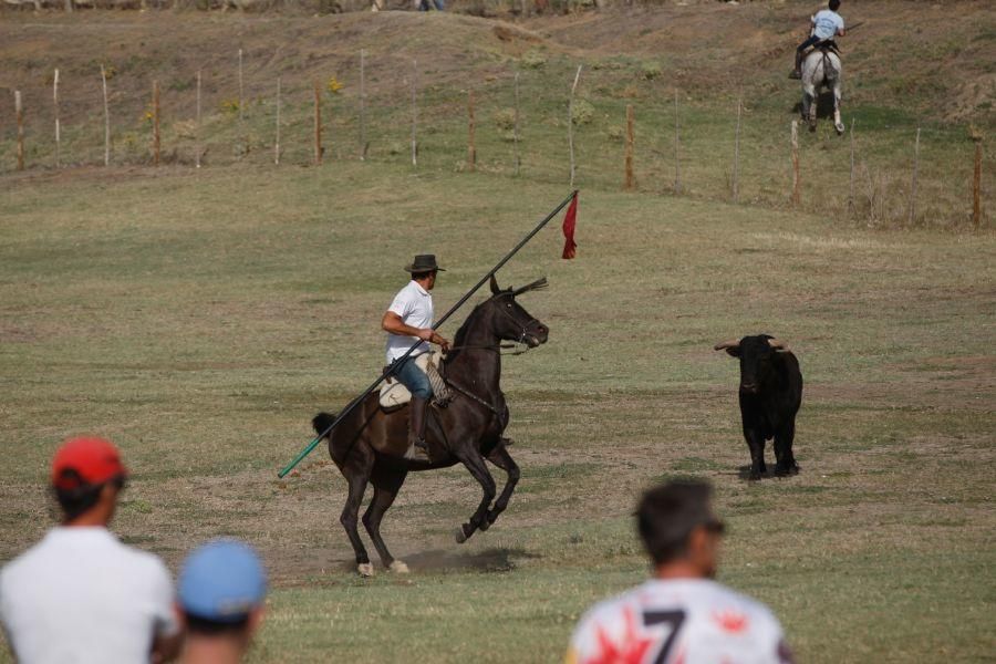 Espantes en Fuentelapeña