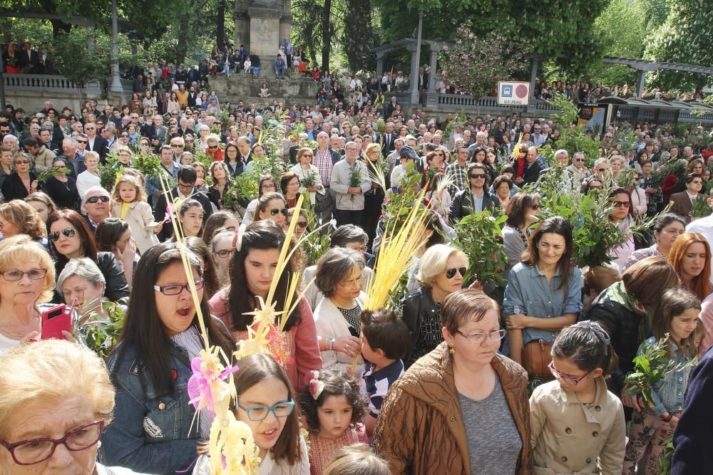 Semana Santa en Ourense 2017 | Bendición de Ramos en Ourense