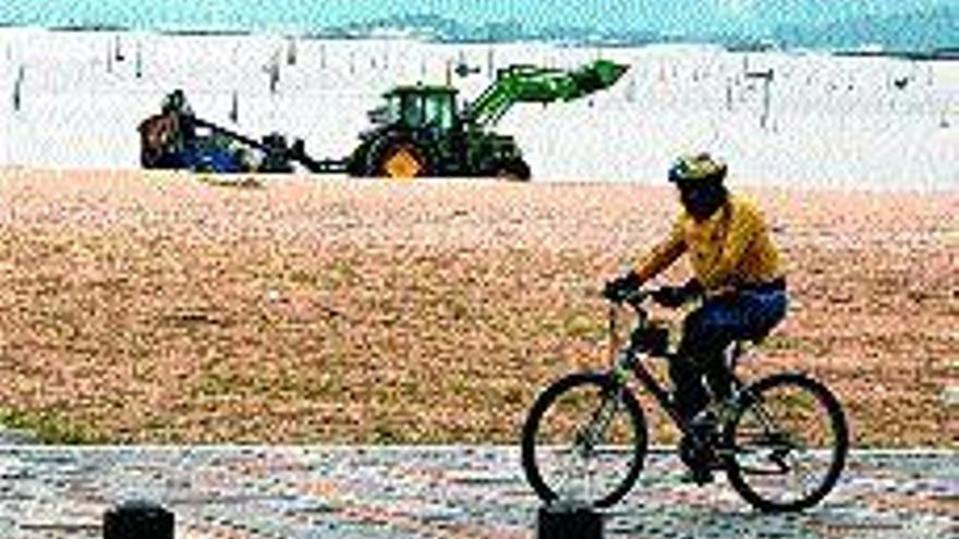 Un tractor limpiando las playas vilagarcianas, ayer. / iñaki abella