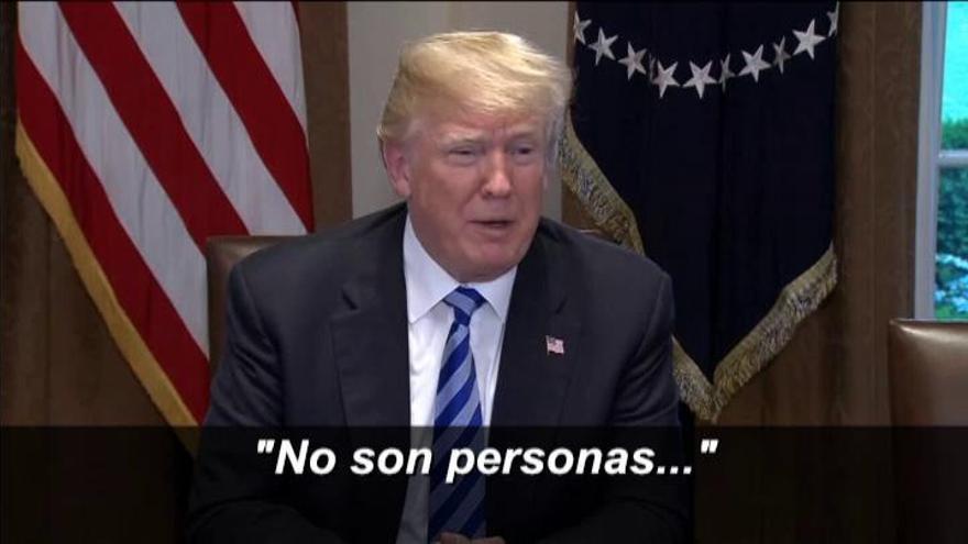 Trump sobre los inmigrantes ilegales: &quot;No son personas, son animales&quot;