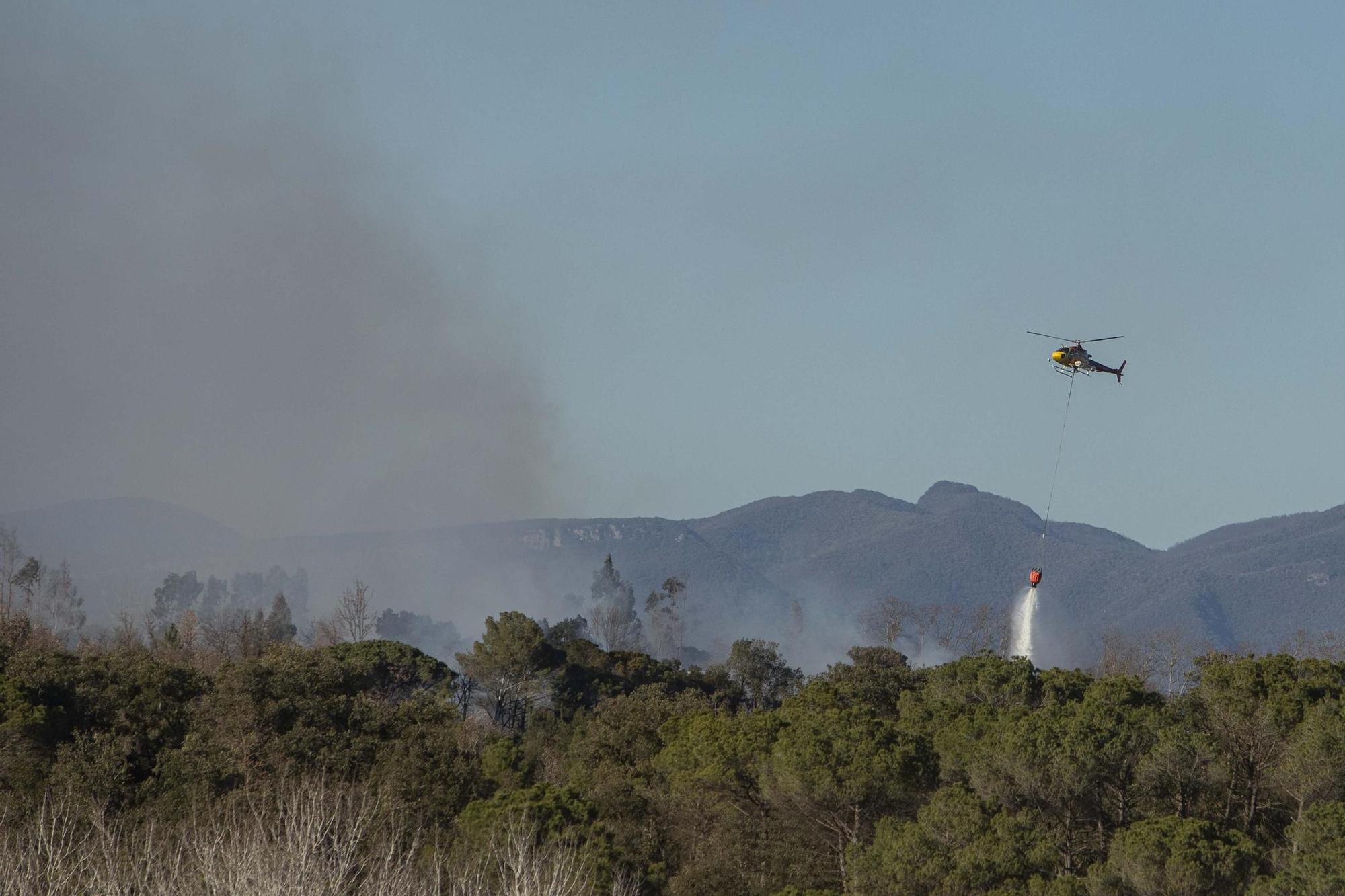 Incendi forestal a Vilobí per una crema de restes vegetals que s'ha descontrolat