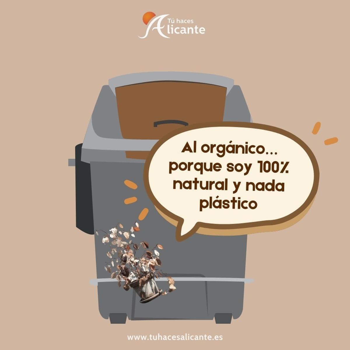 El contenedor marrón no es solo un nuevo elemento urbano: es una oportunidad para que Alicante avance hacia un modelo más limpio, eficiente y sostenible.