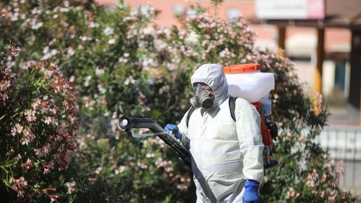 VIRUS NILO | El virus del Nilo vuelve a activar las alertas en Andalucía: «Esto ha llegado para quedarse. Hay que protegerse y usar repelentes»