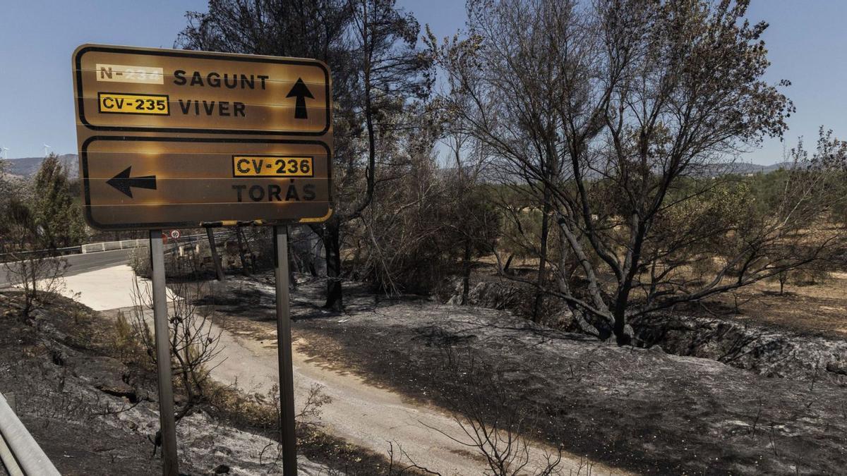 Terrenos calcinados en la zona donde se originó el incendio de Bejís hace seis días..