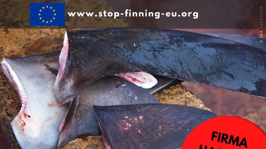 Cartel de la iniciativa ciudadana &#039;Stop finning-stop the trade&#039; para prohibir el comercio de aletas de tiburón en Europa.