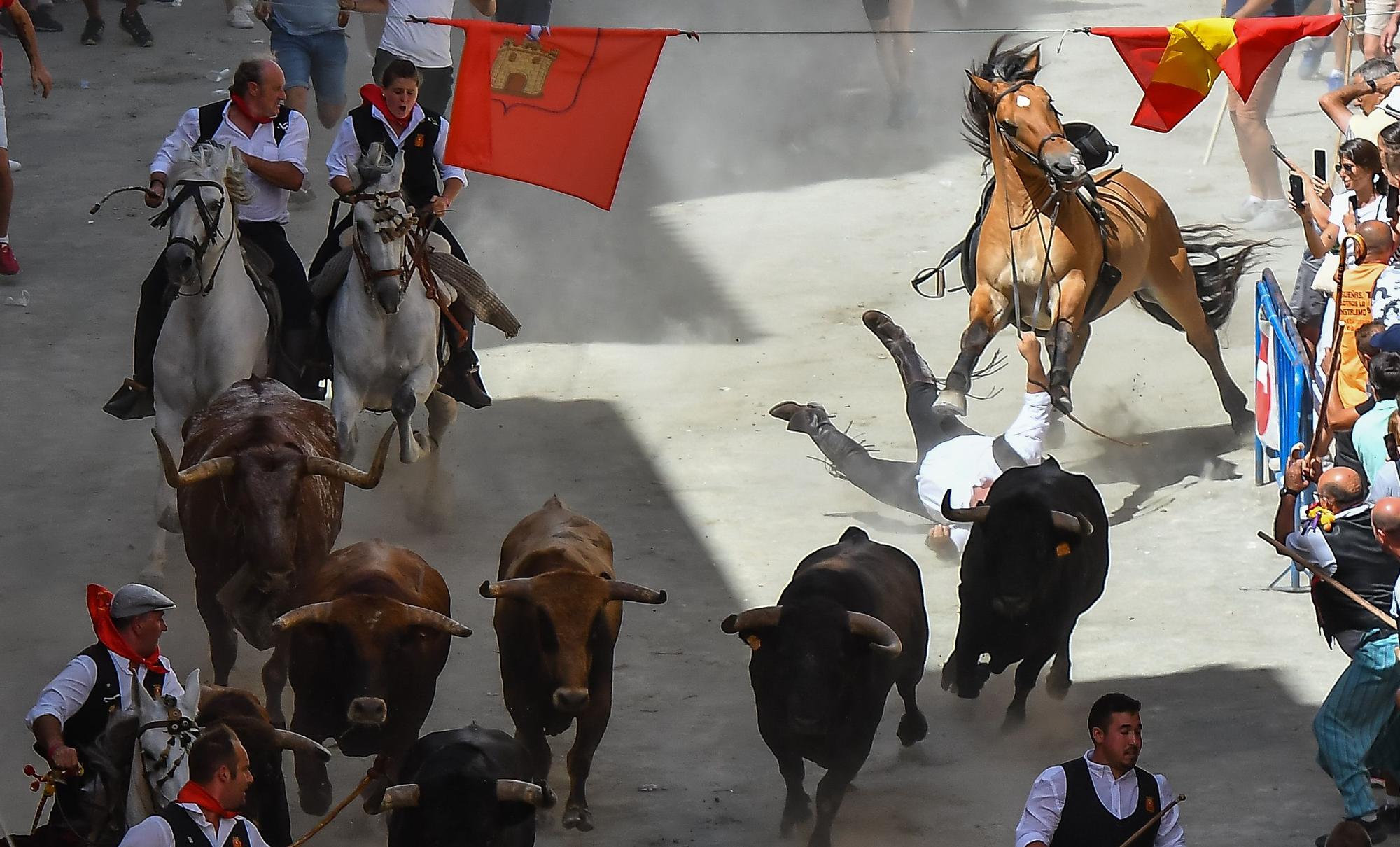 Las mejores fotos de la tercera Entrada de Toros y Caballos de Segorbe