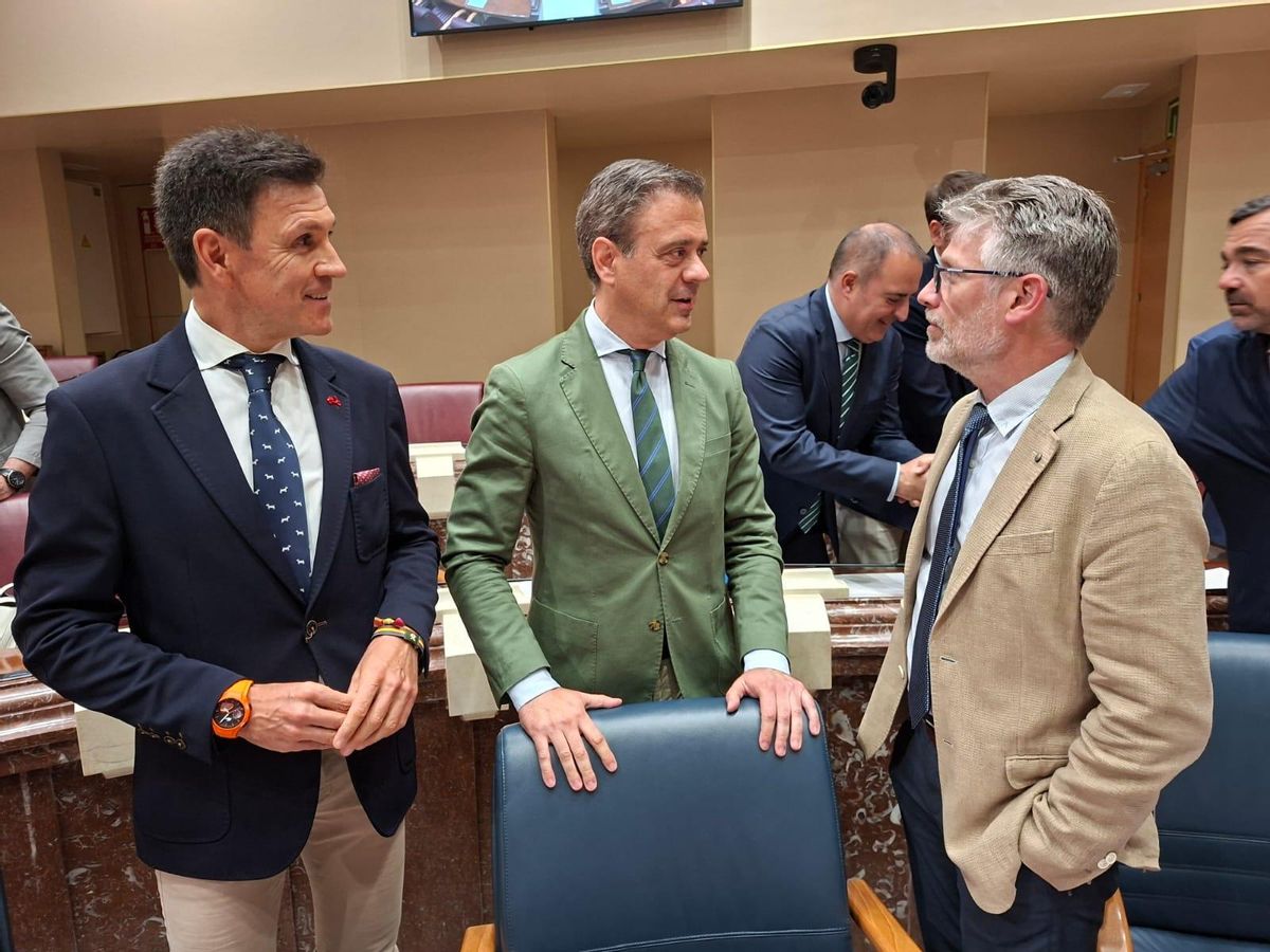 Alfonso Fenando Cerón, el consejero Marcos Ortuño y Víctor Martínez-Guzmán.