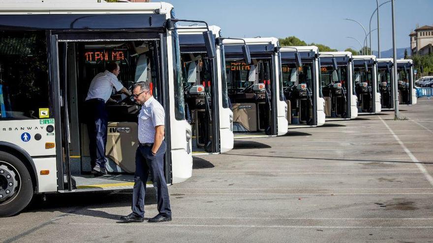 Die acht neuen Stadtbusse in Palma de Mallorca
