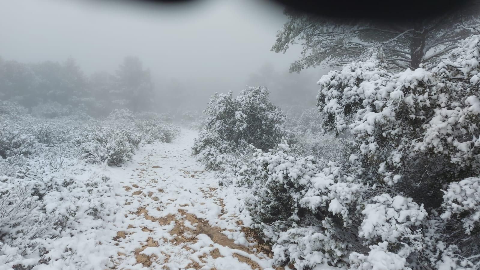 Nieve en Alicante: las estampas más esperadas en invierno