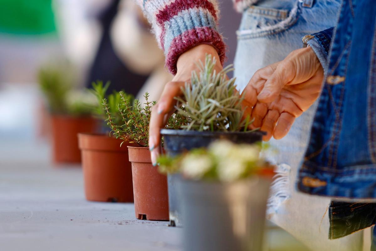 La ONCE inaugura el lunes la Semana del Grupo Social ONCE en Córdoba Arranca con la actividad Aprendiendo a través de los sentidos en el Jardin Botanico de Córdoba