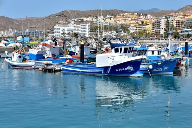 BARCOS ARGUINEGUIN ATUN