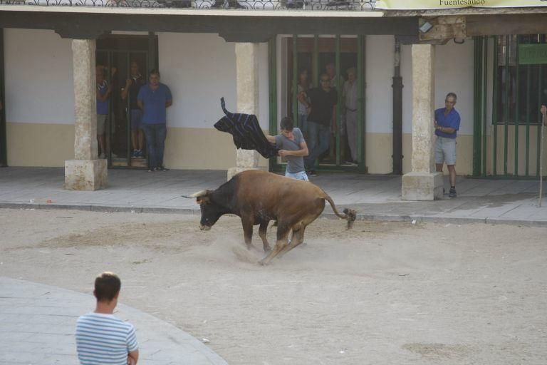 Encierro urbano en Fuentesaúco.