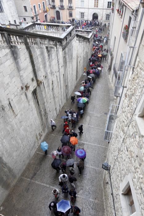 La pluja no desanima l'afluència de públic a «Temps de Flors»