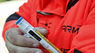 Los bomberos, hartos de atender emergencias de avispa asiática: una de cada cuatro salidas ya tiene que ver con la velutina