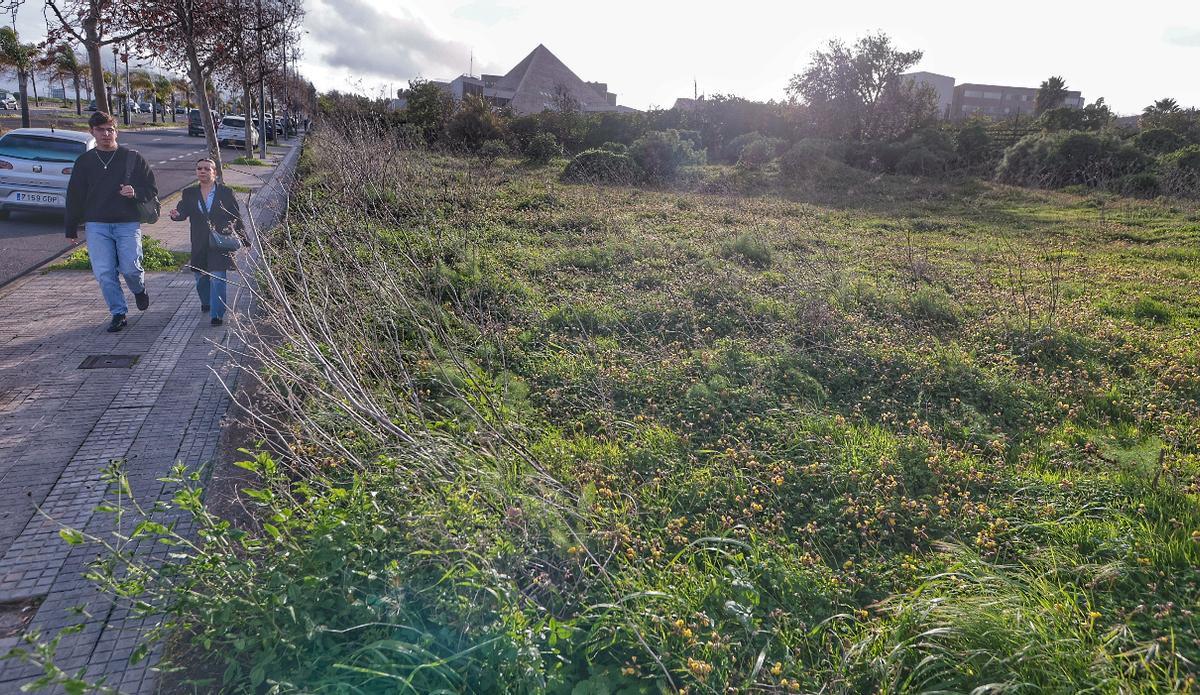 La finca que cederá el Ayuntamiento de La Laguna para la creación de una residencia modular.