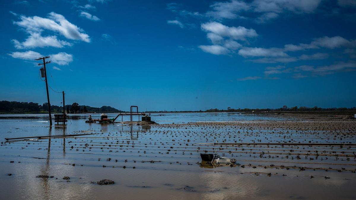 Campos inundados en Pájaro (California) debido al paso de un río atmosférico