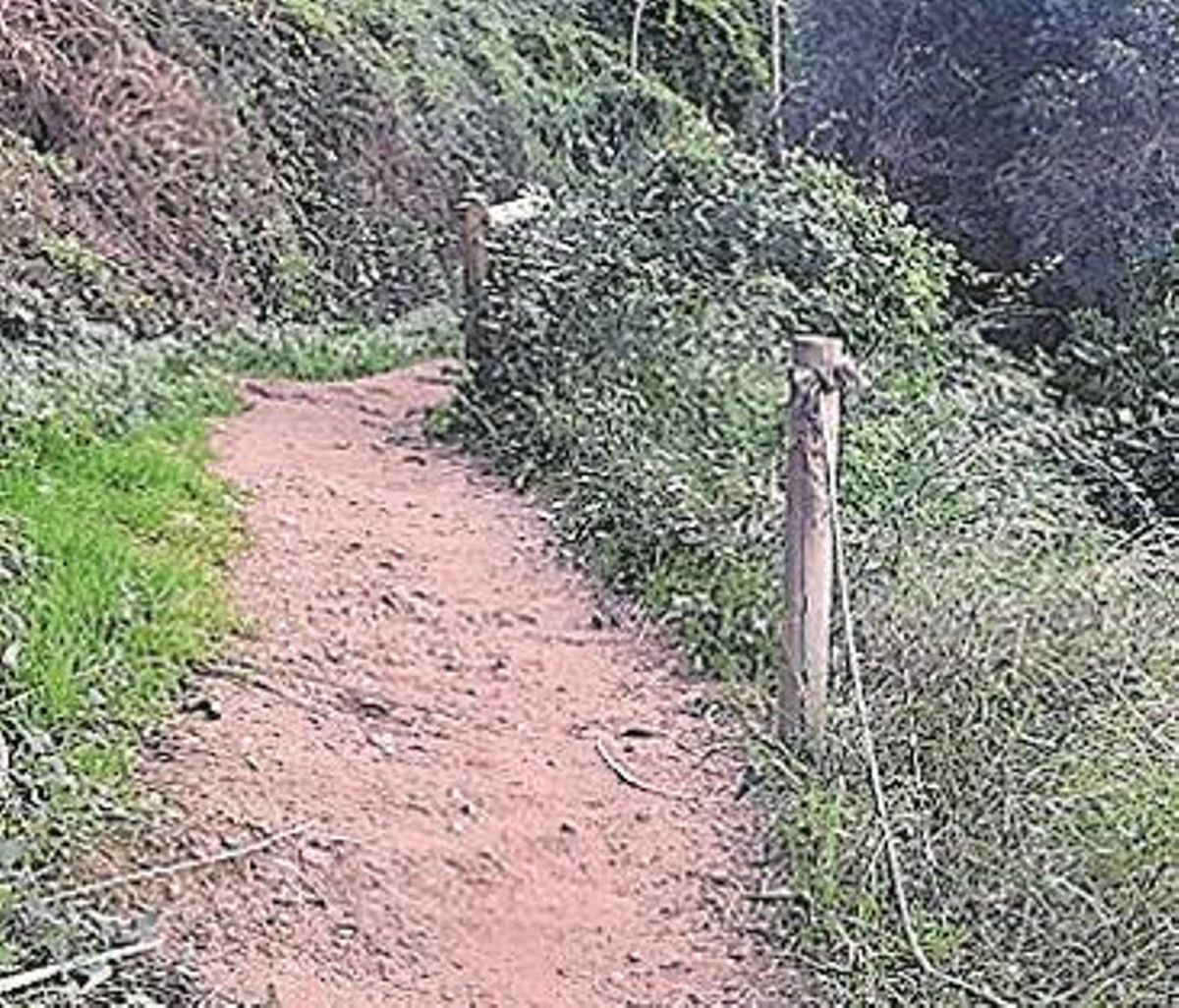 Causan destrozos en la ruta botánica del Millars
