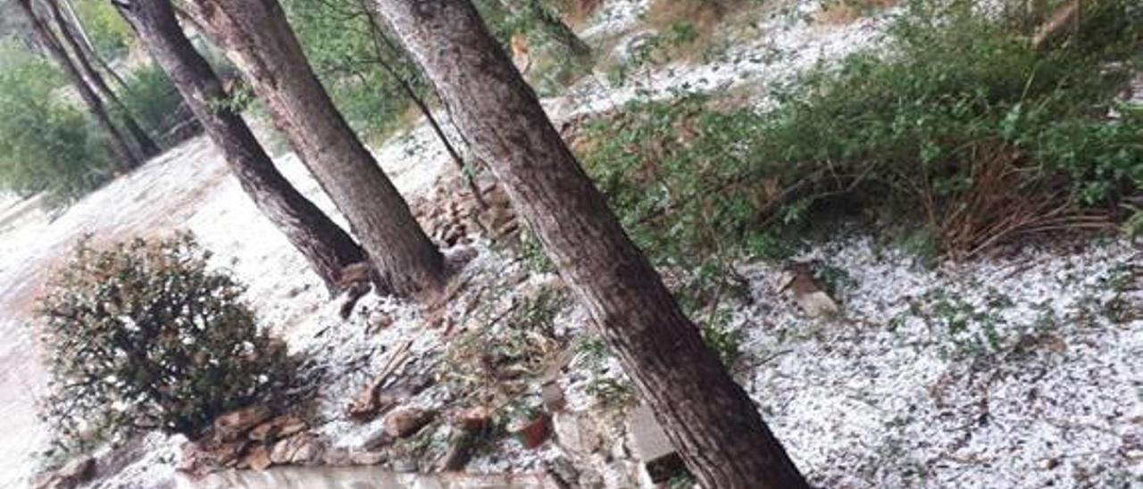 Los agricultores temieron porque el granizo diera al traste con el final de campaña