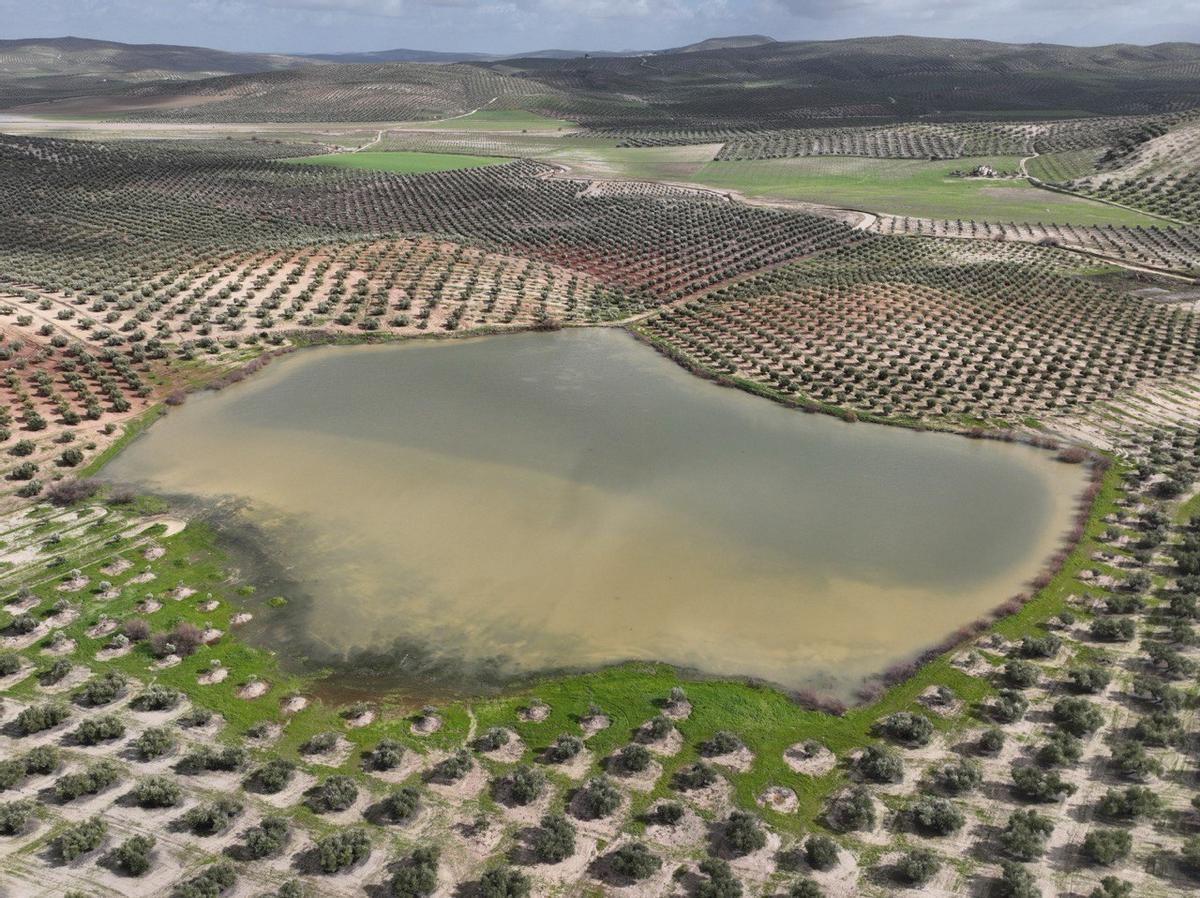 Las lagunas del Sur de Córdoba, a vista de pájaro