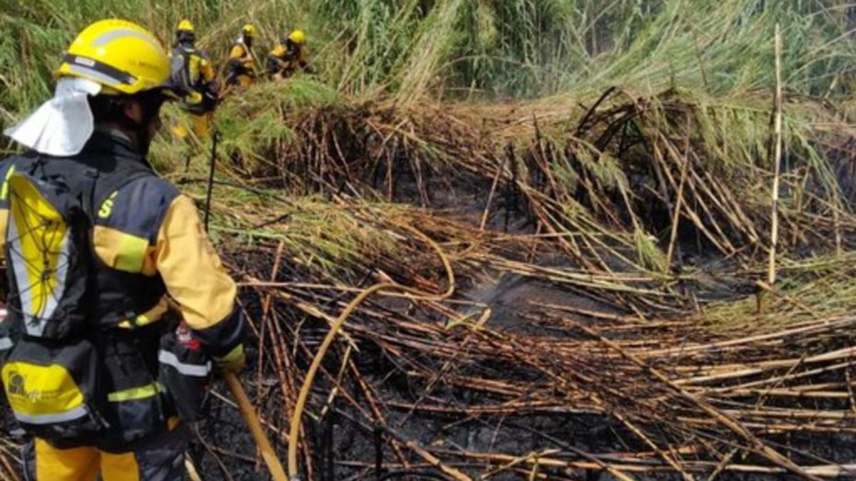 Siniestro forestal  en Massanella | IBANAT