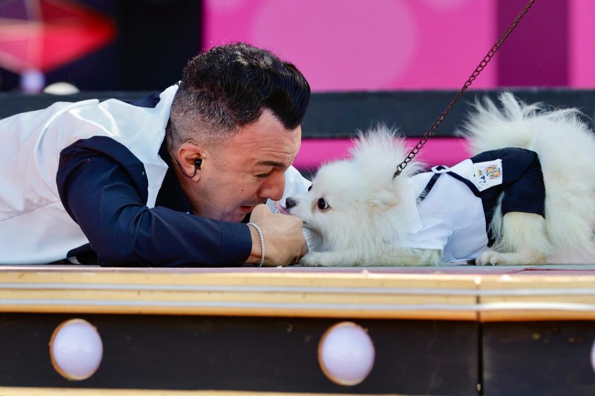Carnaval Canino de Las Palmas de Gran Canaria 2026