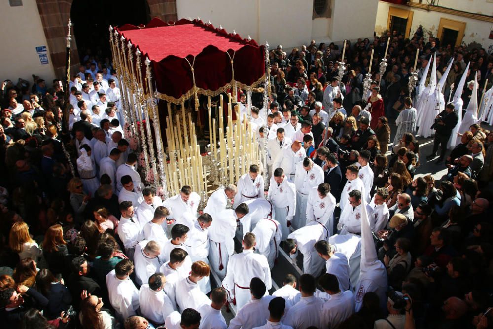 Domingo de Ramos | Salutación