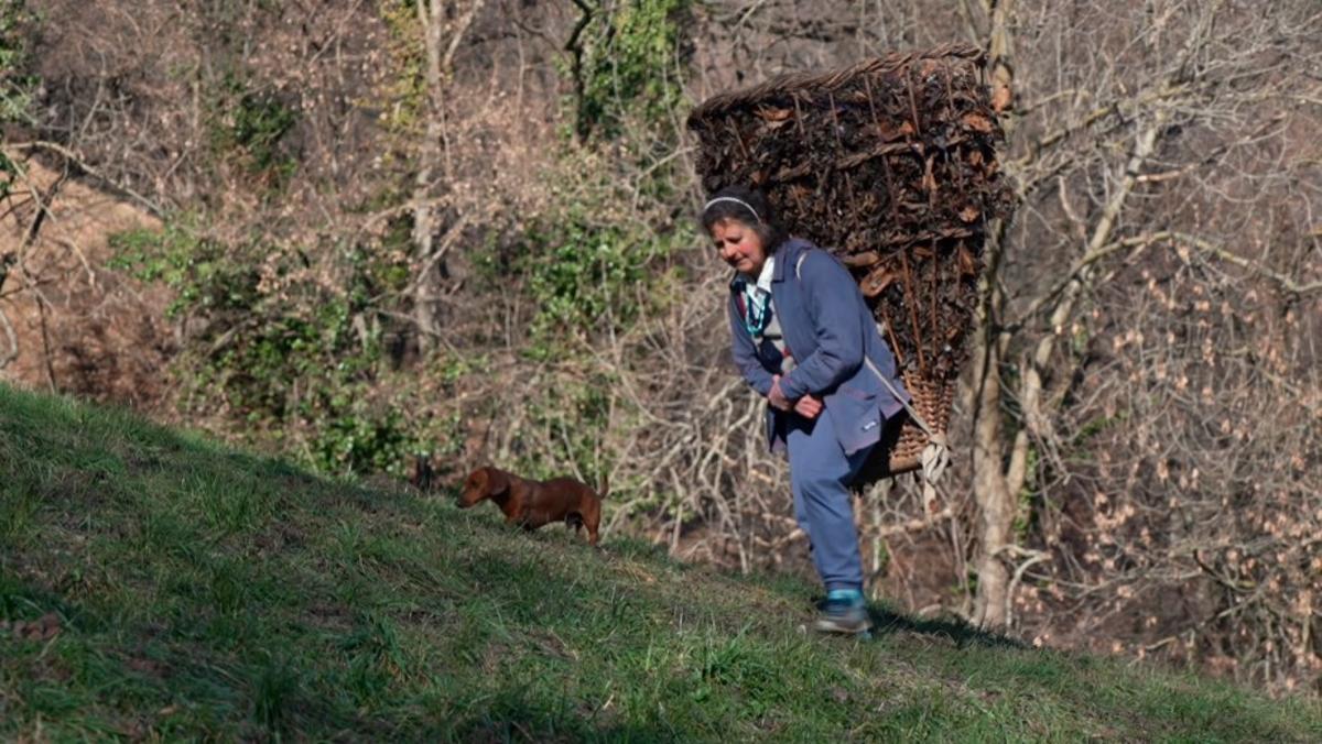 Giuseppina recogiendo hojas secas con una cesta gigante en la espalda, acompañada de su perro.