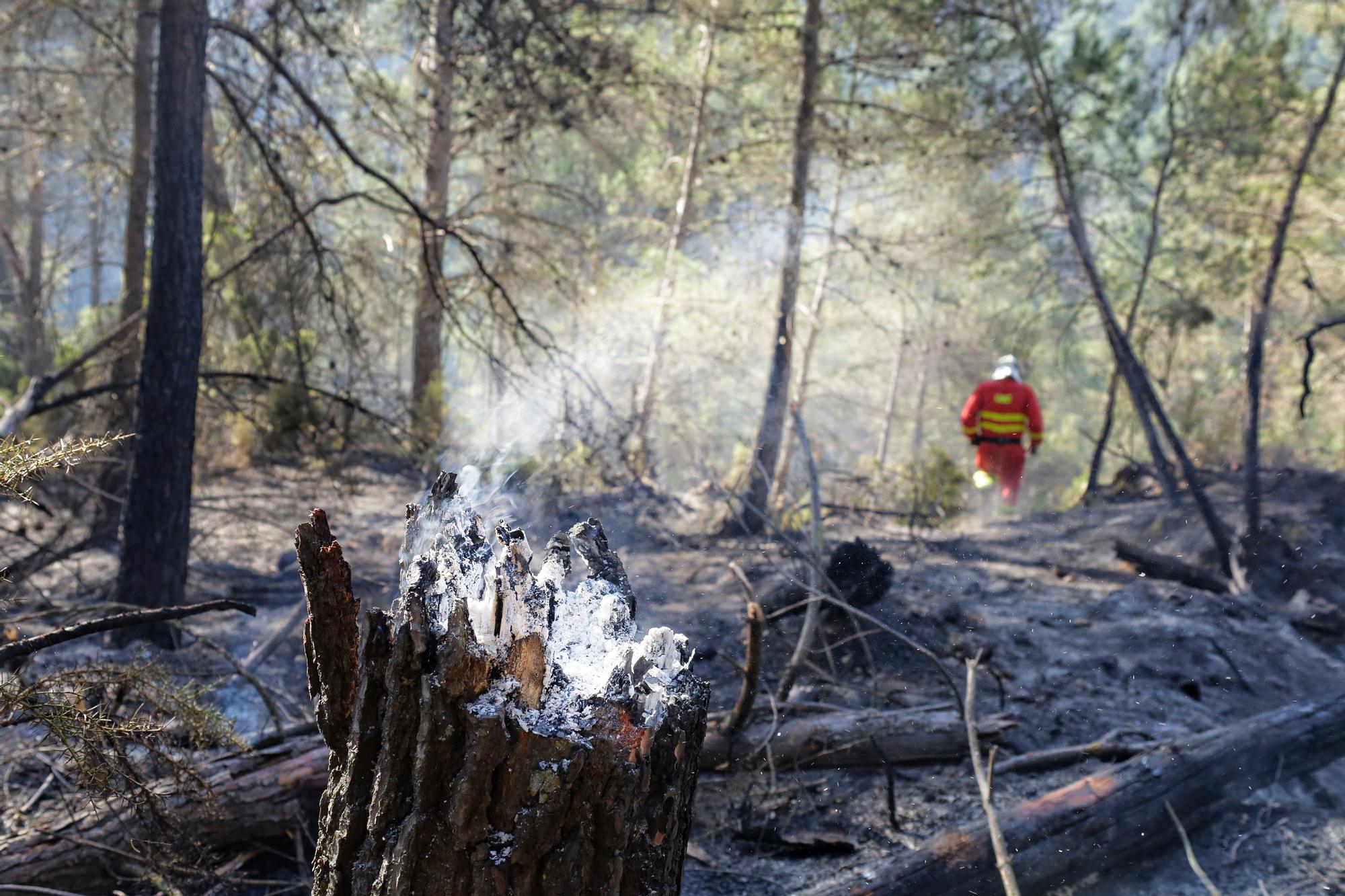 Las imágenes del incendio forestal en el Alto Mijares