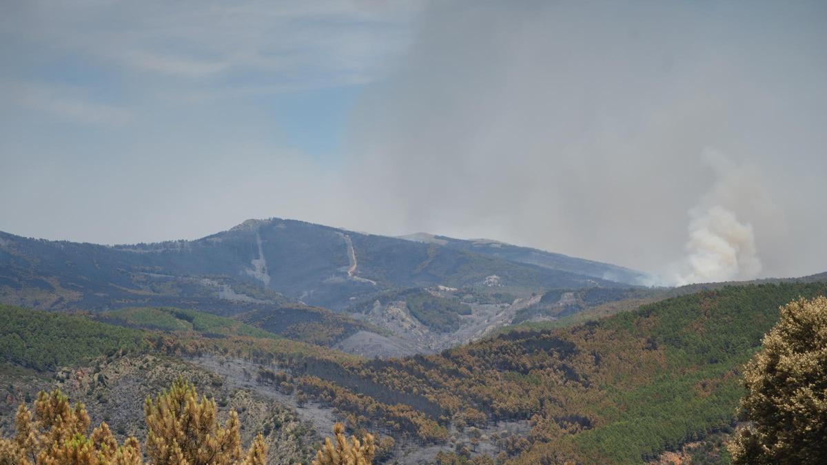 INCENDIO GUADALAJARA | Estabilizado el incendio de Guadalajara tras calcinar más de 32.000 hectáreas