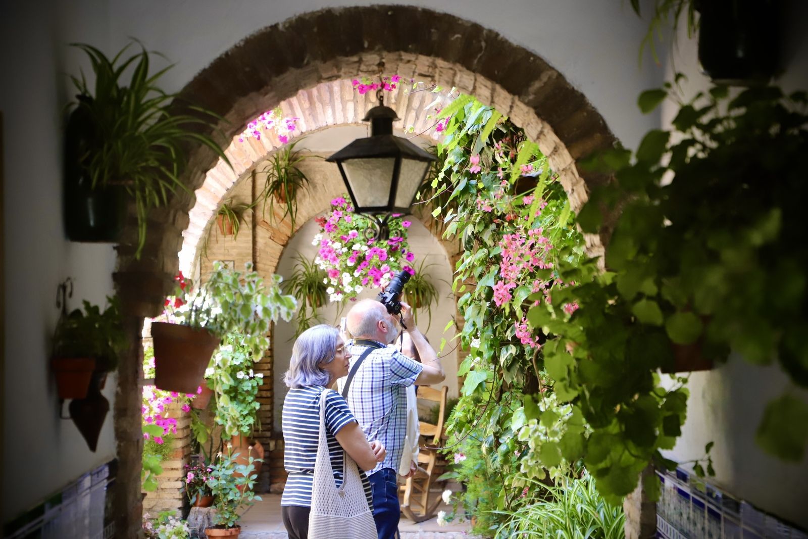 La Ruta 3 de los Patios de Córdoba, en imágenes