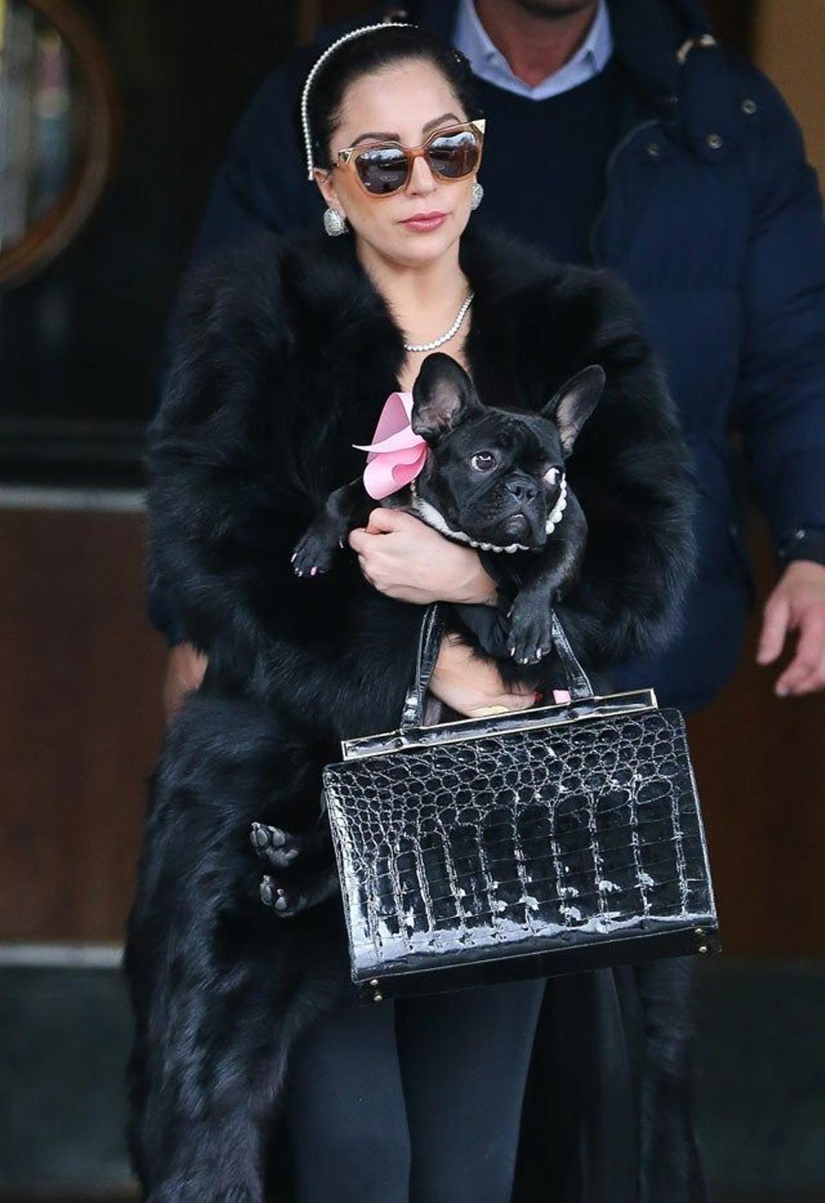 Lady Gaga con su perrita decorada