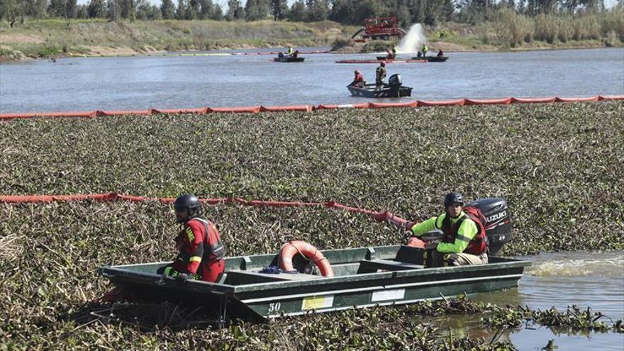 Más de 300 efectivos trabajarán este invierno en la retirada del camalote