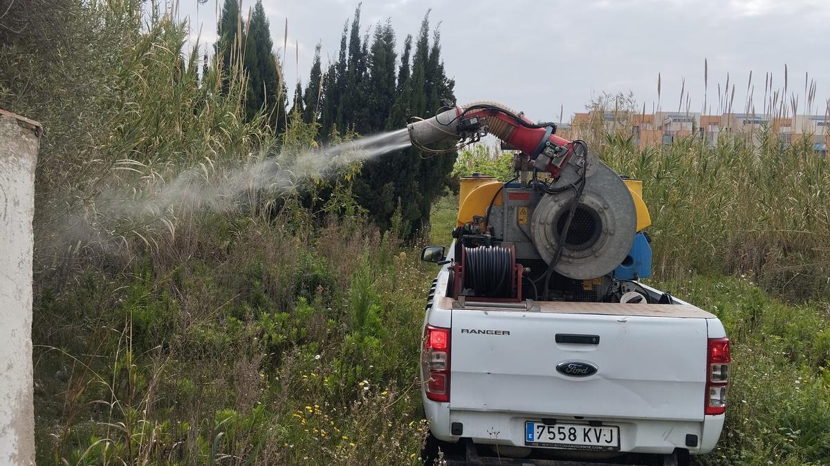 Almassora intensifica los tratamientos contra mosquitos en todo el término municipal.